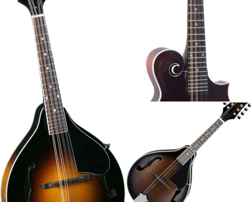 Gifts for Mandolin Beginners 🎶 cover photo collage