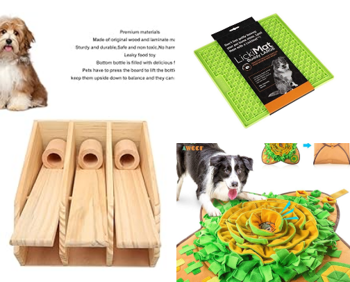 Beyond the Basics: 20 Genius Upgrades for a Happier, Healthier Dog​ cover photo collage