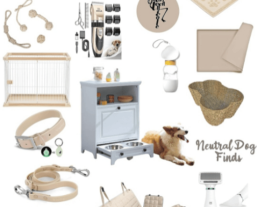 Neutral Colors Amazon Dog Finds cover photo collage