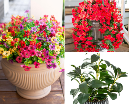 Plant collection cover photo collage