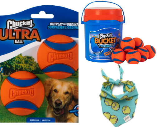 Dog lover cover photo collage