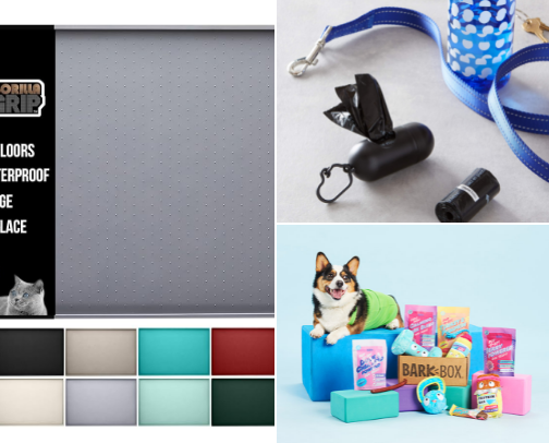 Apartment living with dogs - items you need to optimize an apartment for your furry friend 🐕 cover photo collage