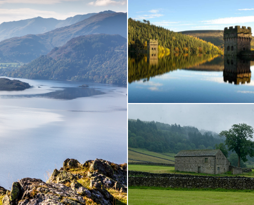Places That Let You Breathe cover photo collage