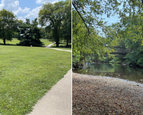 Best dog walking spots in Nashville🐶🦮 cover photo collage