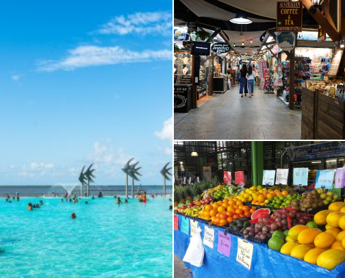 What to do in Cairns on your vacation 🔆 cover photo collage