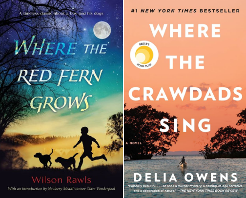 My favorite book recs cover photo collage