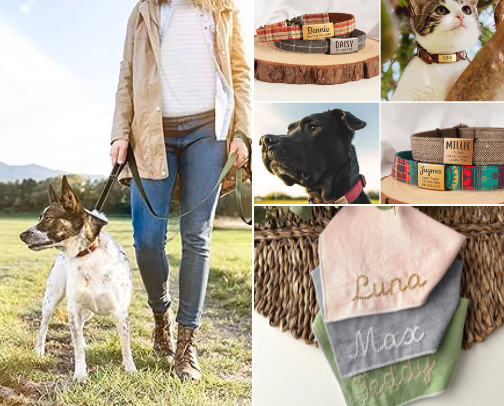 Big Dog Must-Haves: Essentials for Large Breed Dogs cover photo collage