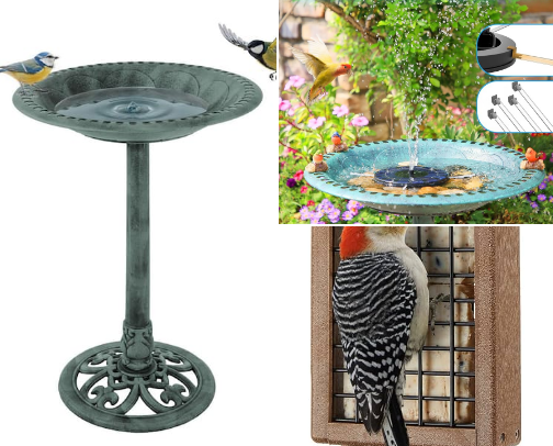 Birding items for an active backyard cover photo collage