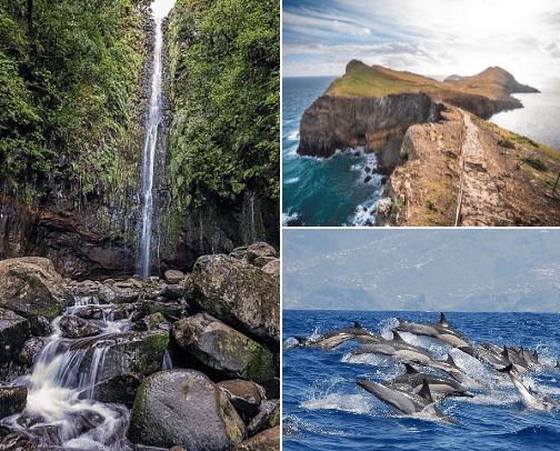 Check Out These Incredible Experiences in Madeira! cover photo collage