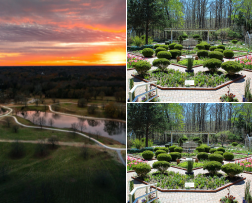 Best Local Things to Do Near Athens, GA — Coffee, Food, Trails & Live Music cover photo collage