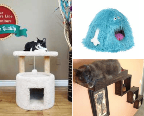Your cat deserves the best! cover photo collage