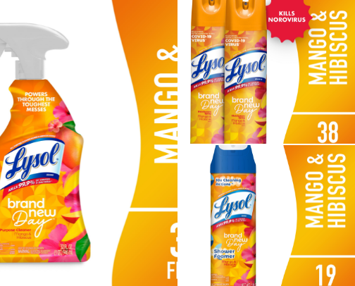 The best cleaning products cover photo collage