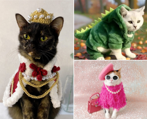 Whimsical and adorkable pet costumes cover photo collage