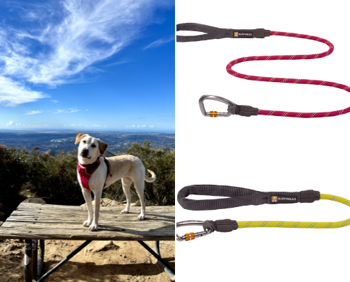 Stella Approved: Gear We Actually Use cover photo collage