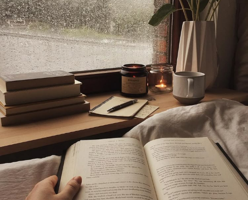 The Lazy Reader cover photo collage