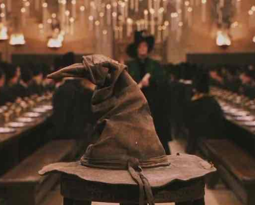 Straight from the Sorting Hat cover photo collage