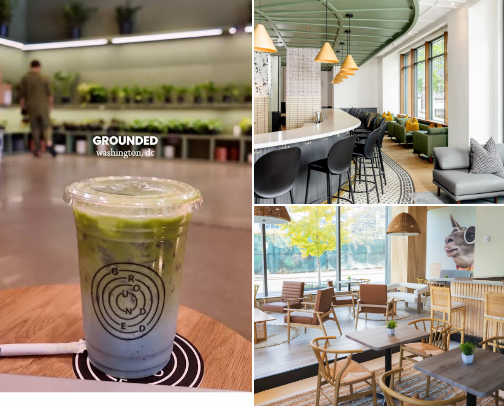 My Favorite DC Coffee-Shops for A Study Session cover photo collage