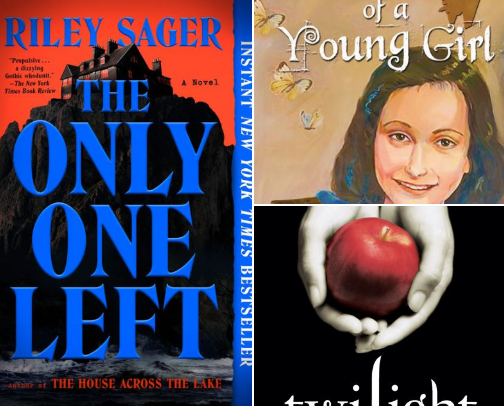 My best 2025 reads cover photo collage