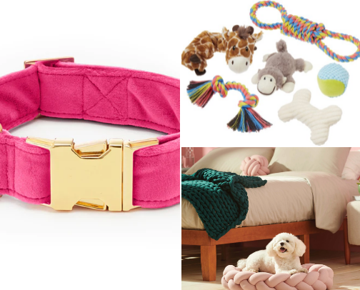 Puppy needs cover photo collage