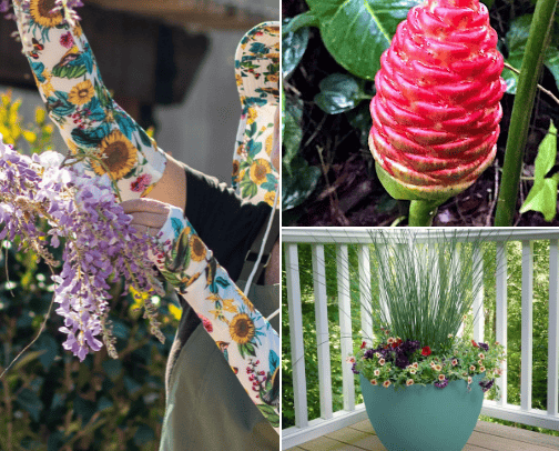 Creating the Perfect Backyard cover photo collage