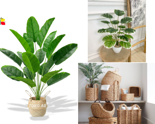 Indoor Plants cover photo collage