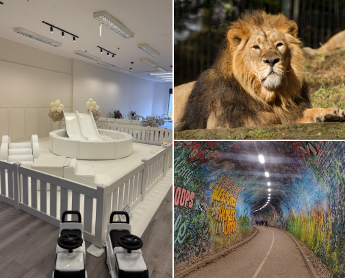 Things to do with kids 0-5y in Edinburgh cover photo collage