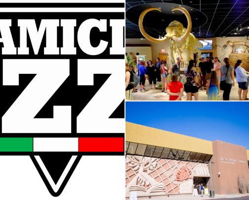 Arizona Recs cover photo collage