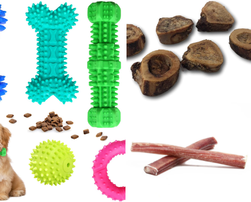 Dog Accessories cover photo collage