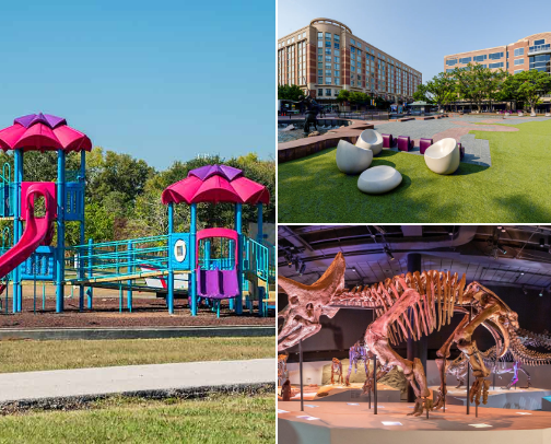 Fun Things to Do Around Houston cover photo collage