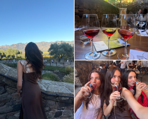 wine girl in napa valley🍷 cover photo collage