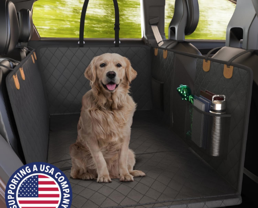 Traveling With Your Furry Friend? 🚙 cover photo collage
