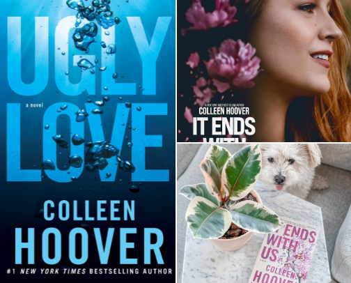Read Free - Emotional reads for fans of Ugly Love: A Novel cover photo collage
