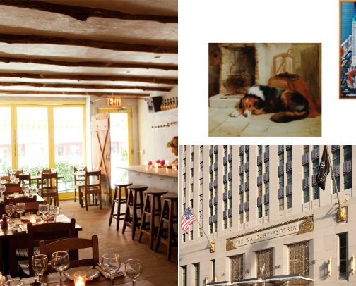 My favorite nyc places (I live in nyc) cover photo collage