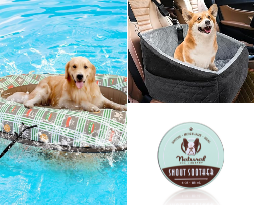 Dog essentials🐶 cover photo collage