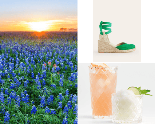 Spring has SPRUNG cover photo collage