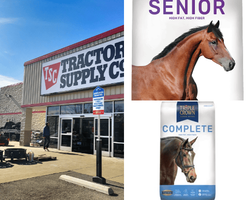 Favorite horse products cover photo collage