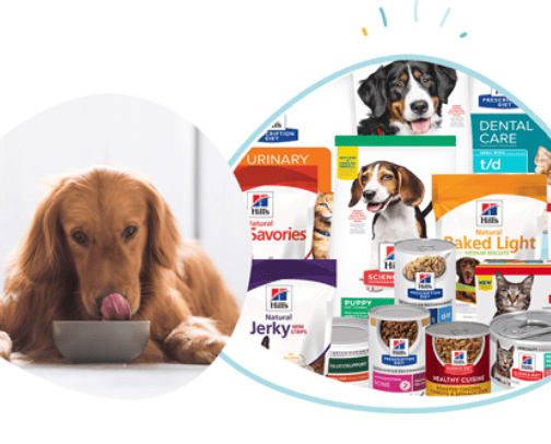 PetCareRx cover photo collage