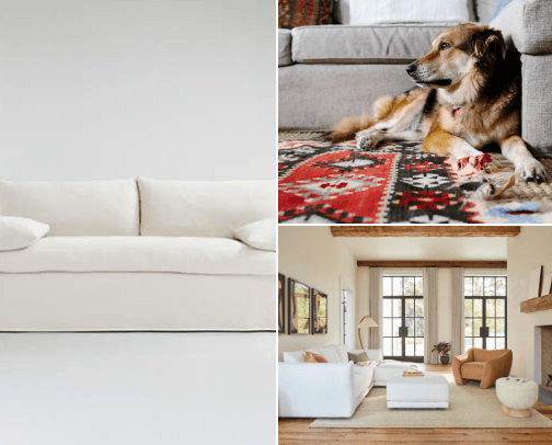 Home Decor Essentials for Dog Lovers cover photo collage