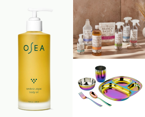 Non Toxic/ Low Toxic living cover photo collage