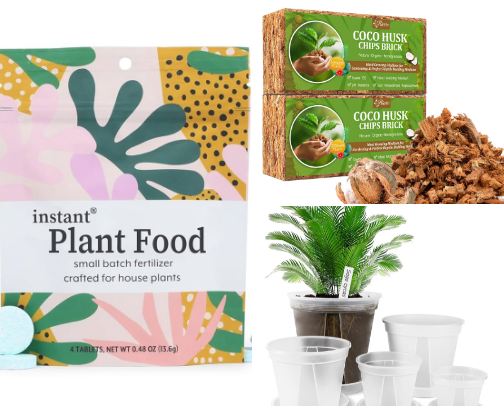 Plant Moms! This is for you! cover photo collage