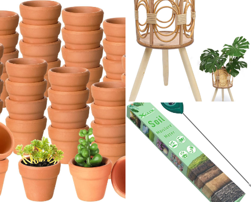 🌿 Small-Space Plants cover photo collage