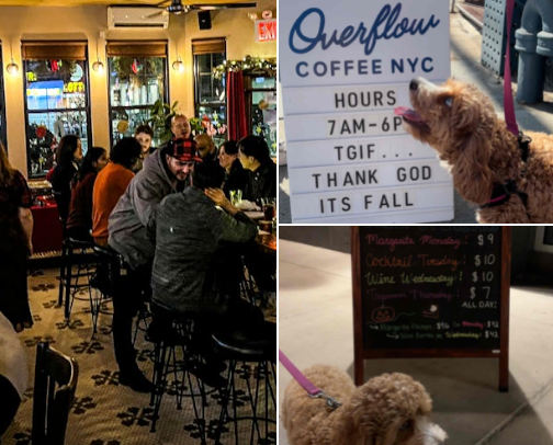 Pup-Approved NYC Spots cover photo collage
