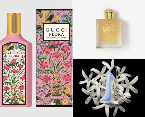 My smell goods cover photo collage