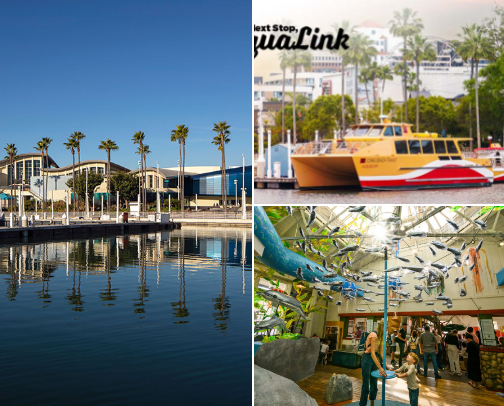 SoCal with Toddlers ✨🌴 cover photo collage