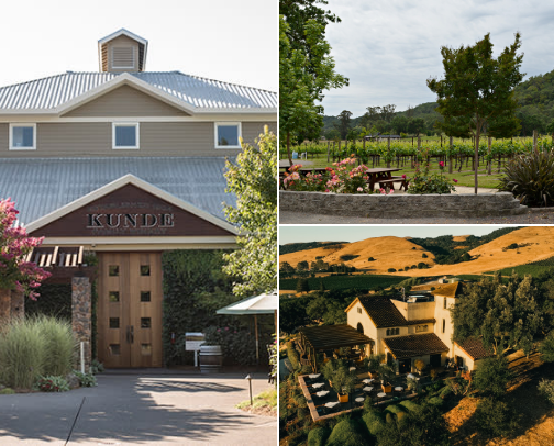 CA Wine Country Recs cover photo collage