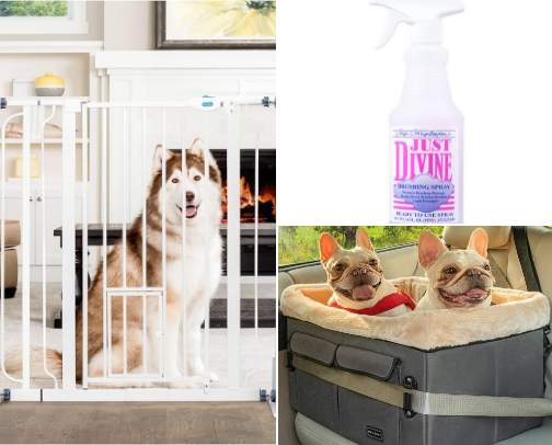 Pawfect Poodle Essentials cover photo collage