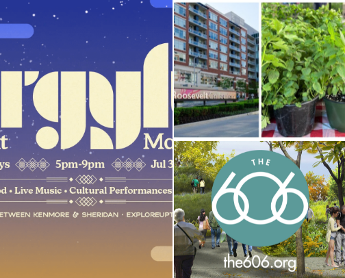 “Local Favorites: Things to Do Around Chicago (Food + Fun)” cover photo collage