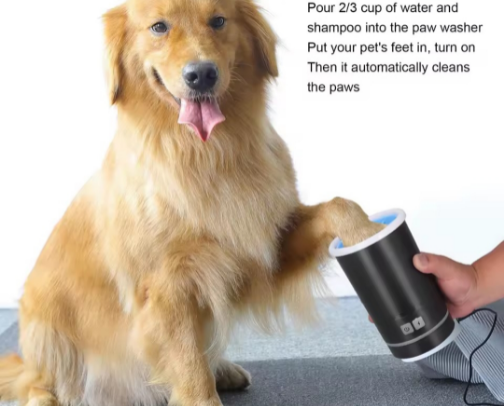 Pet Care & Accessories cover photo collage