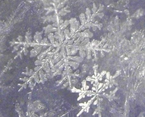 How to smell like an ice witch cover photo collage