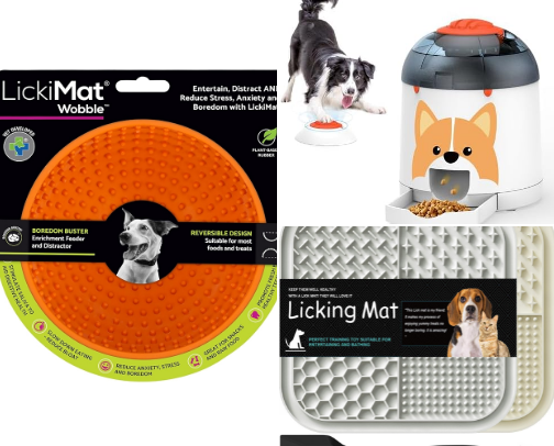 Dog Feeding cover photo collage